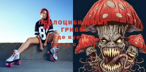 бошки Ладушкин